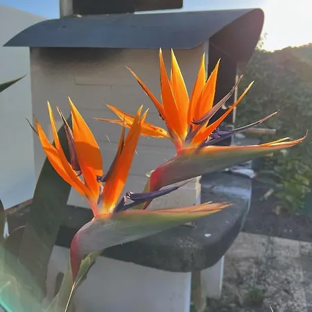 !chalet De Lujo Vacaciones!... * Camargo