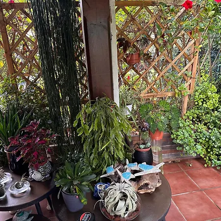 빌라 !chalet De Lujo Vacaciones!...