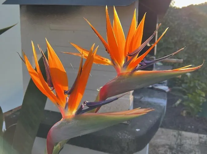 !chalet De Lujo Vacaciones!... * Camargo