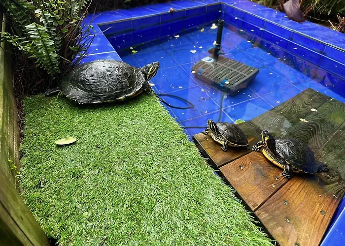 Villa !chalet De Lujo Vacaciones!...