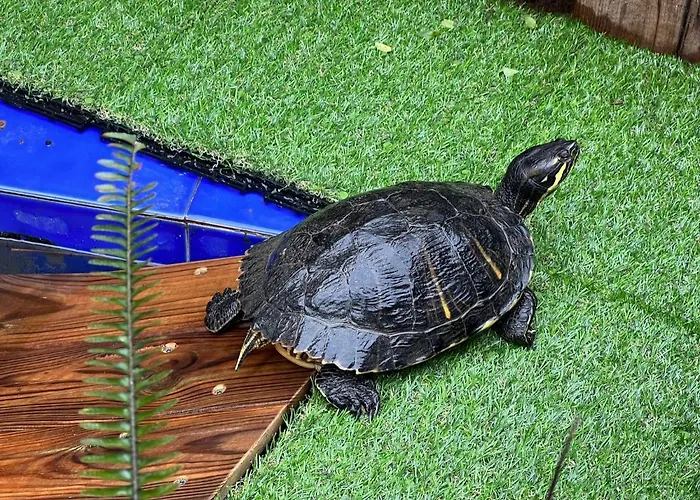 Villa !chalet De Lujo Vacaciones!... *