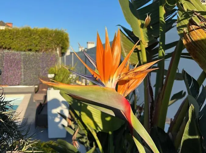 !chalet De Lujo Vacaciones!... * 卡马乔