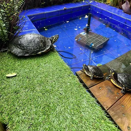 Βίλα !chalet De Lujo Vacaciones!...