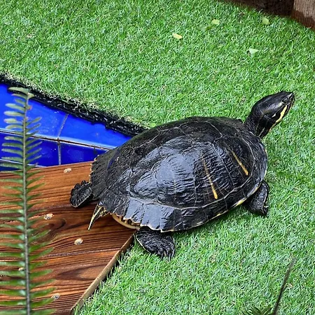 Βίλα !chalet De Lujo Vacaciones!... *