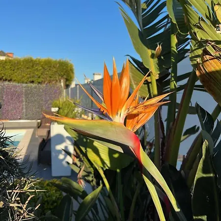 !chalet De Lujo Vacaciones!... * Camargo